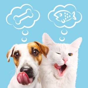FORMATION NUTRITION CHIEN ET CHAT 100% EN LIGNE