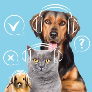 LIVRES AUDIO + QUIZZ