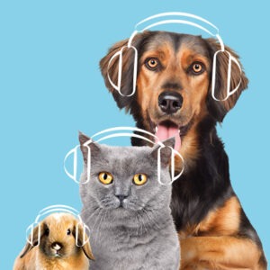 LIVRES AUDIO