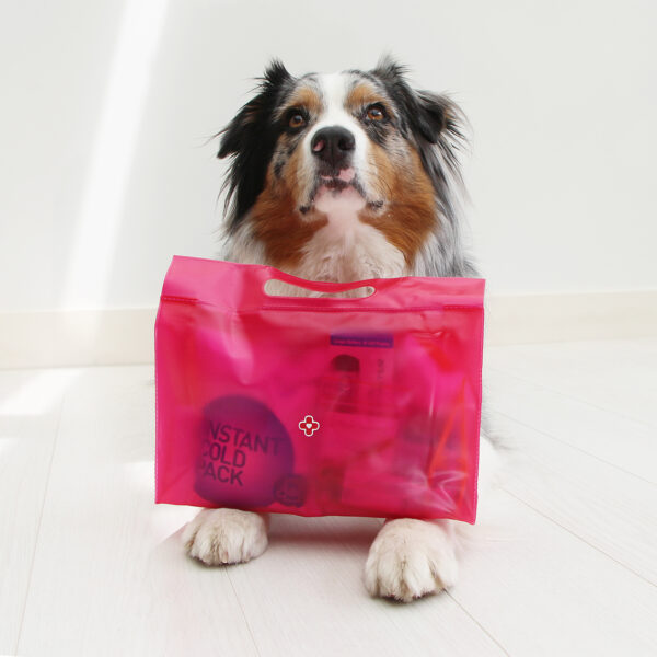 TROUSSE 1ERS SECOURS CHIEN ET CHAT – Image 2