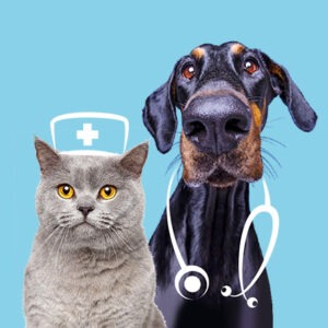 FORMATION 1ERS SECOURS CHIEN ET CHAT 100% EN LIGNE