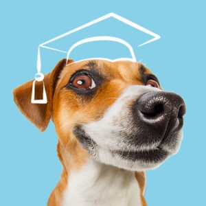 FORMATION ACACED CHIEN • Lyon du 06-11-2023 au 07-11-2023