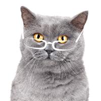 formation-acaced-chat-chien-cpf-1