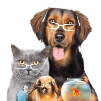 formation-acaced-chat-chien-cpf-9
