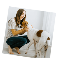 inscription-formation-pet-sitter